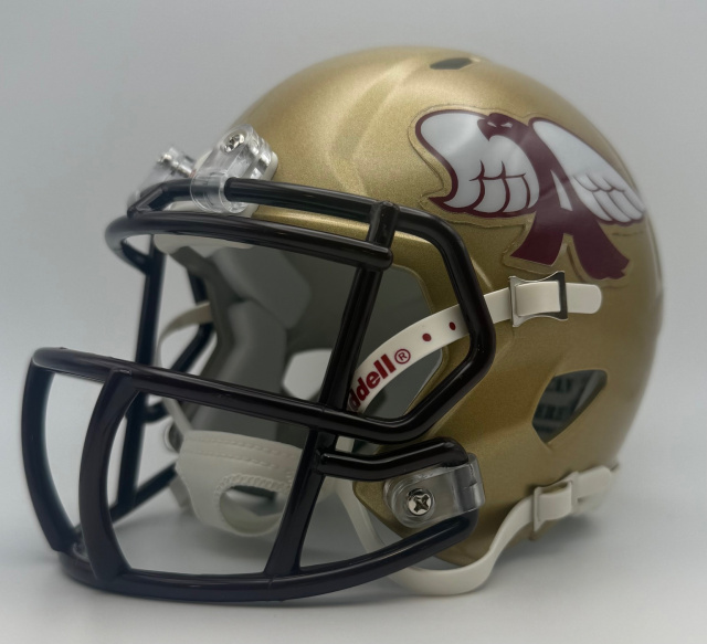 Ankeny Hawks HS 2012 (IA)